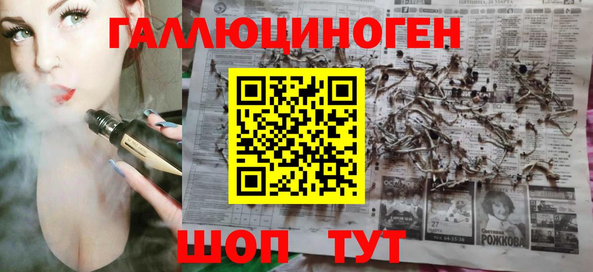 Галлюциногенные грибы мухоморы Чернушка